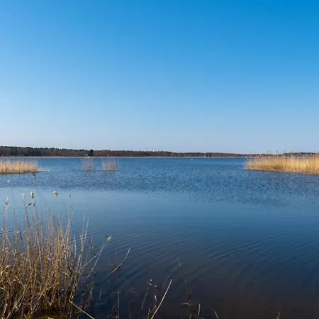 Sauna Tamula Appartamento *