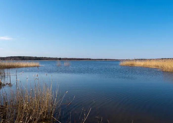 Sauna Tamula Apartamento *